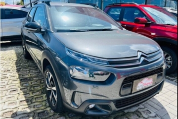 C4 CACTUS